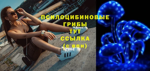 сатива Алексин