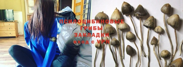 сатива Алексин