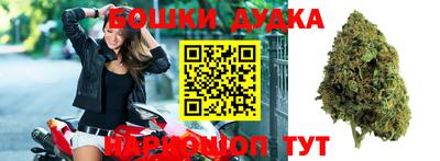 индика Кандалакша