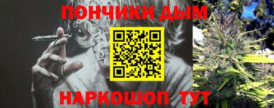 индика Кандалакша