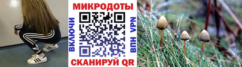 MEGA вход  хочу   Красноярск  Псилоцибиновые грибы GOLDEN TEACHER 