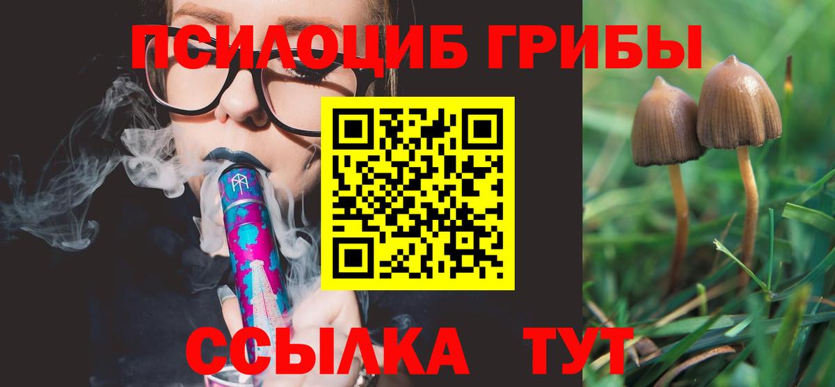 Галлюциногенные грибы MAGIC MUSHROOMS  Вход с VPN  Красноярск 